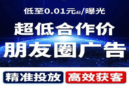 搜索引擎优化（SEO）与竞价广告（SEM）的对比案例